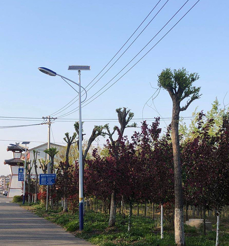 农村太阳能路灯_福建太阳能路灯_bsports太阳能路灯