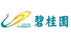 bsports合作伙伴：碧桂园