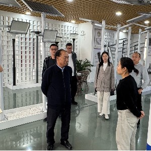 携手共进，点亮未来 —— 四川客户与bsports太阳能公司合作新篇章